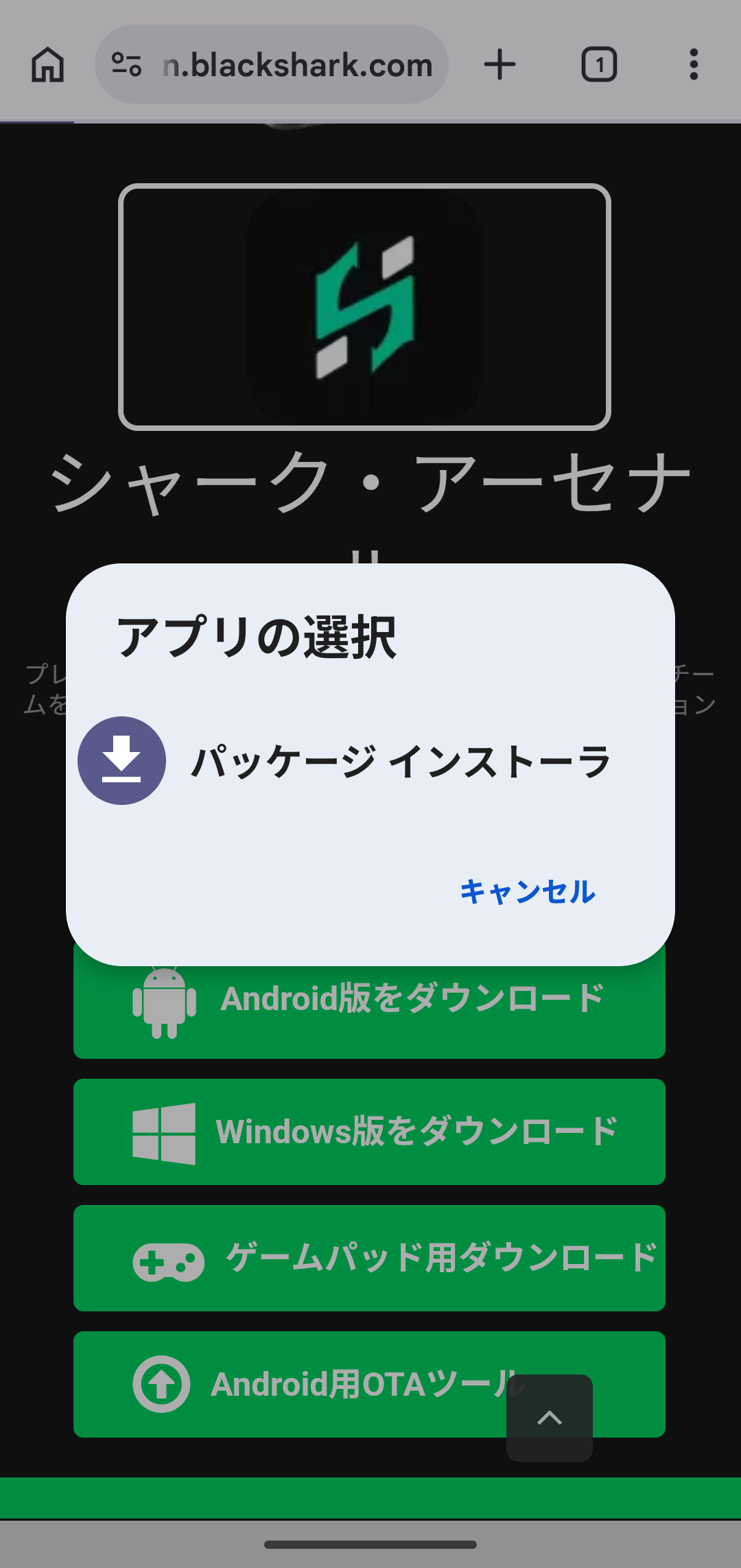 パッケージインストーラ